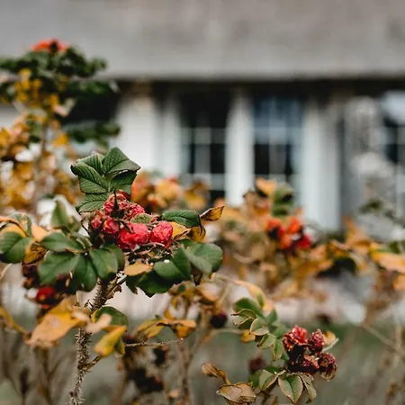 Nordbrise Tatil Evi Dranske